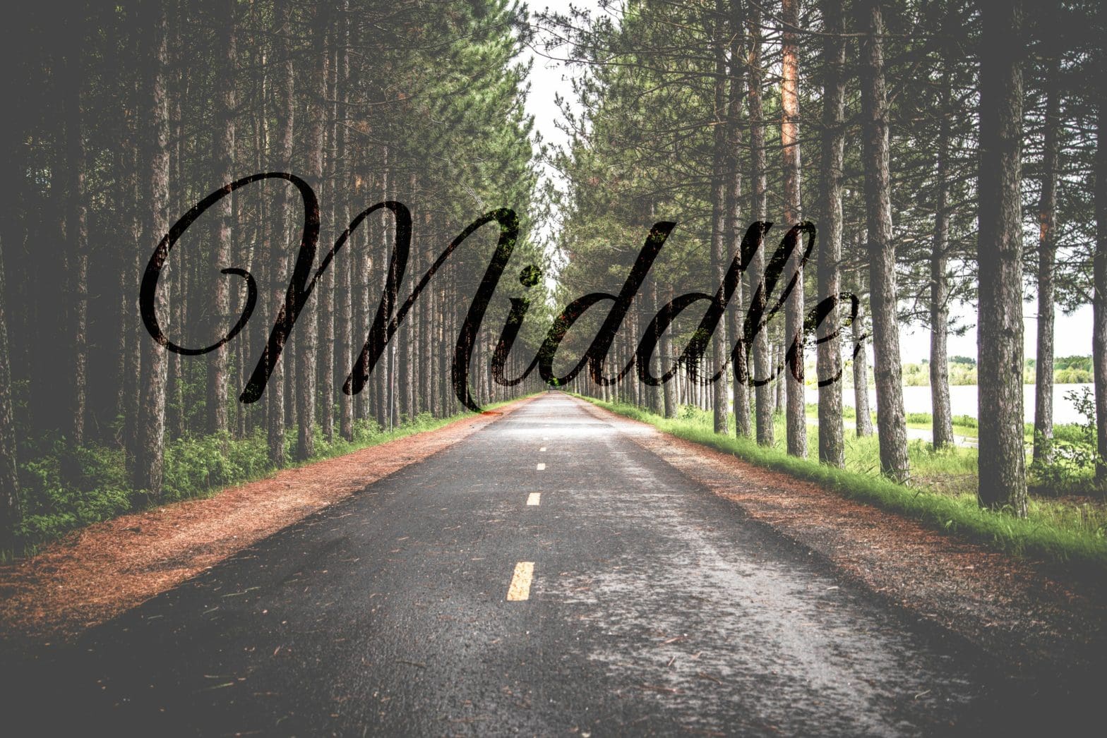 middle | Tara L Cole