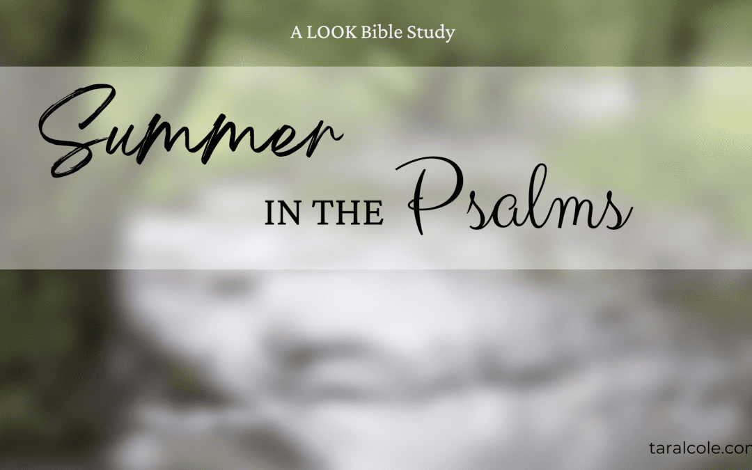 Summer 2024 Bible Study: Psalms 1 -13